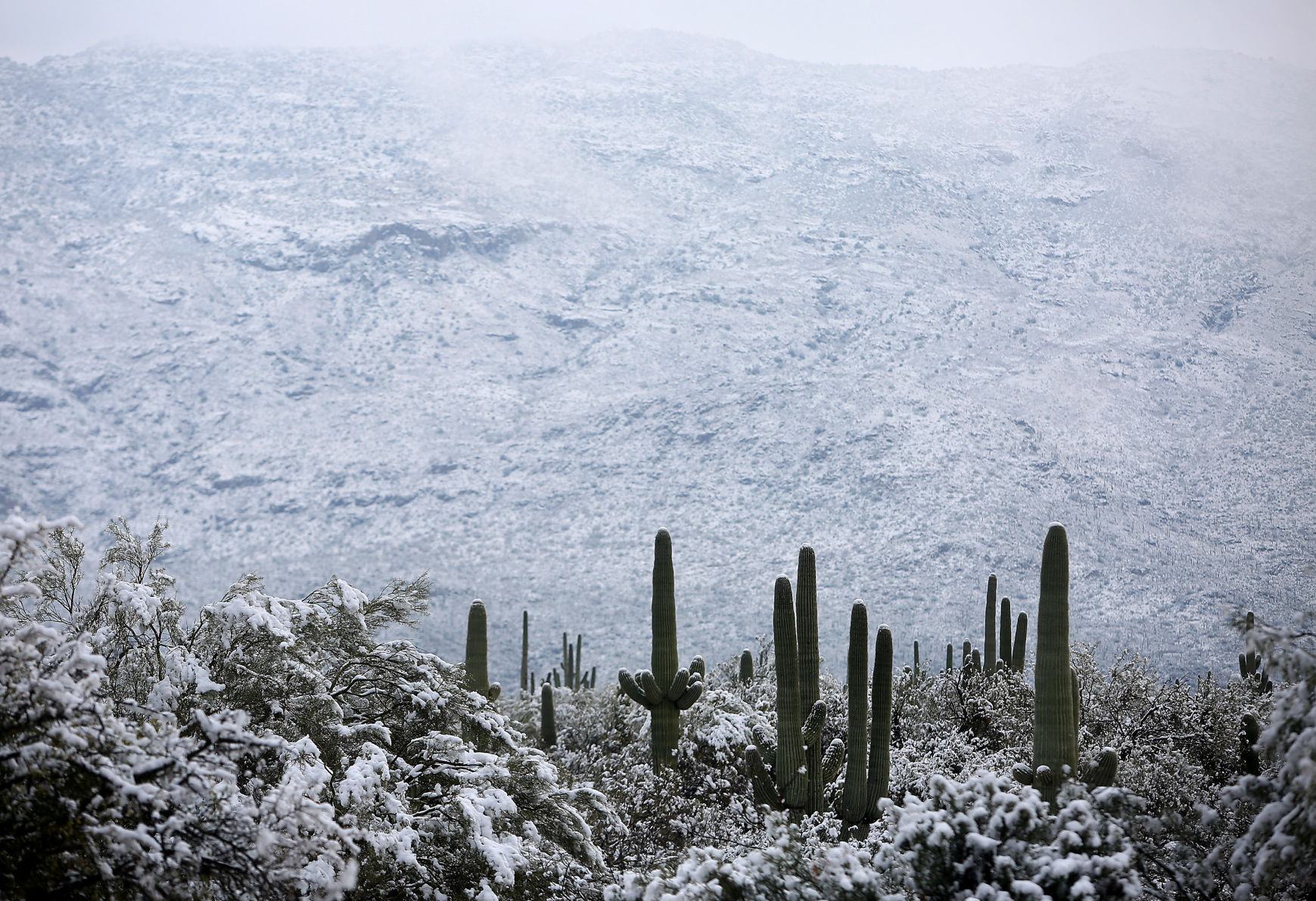 Snow in Southern Arizona